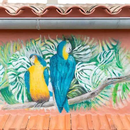 Le Parcours Cathare * Olonzac