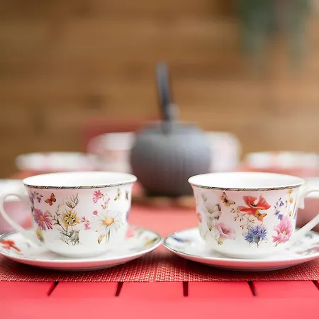 Le Parcours Cathare Feriehus